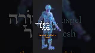 Fun Hebrew Fact About the Gospel of Jesus (Yeshua)