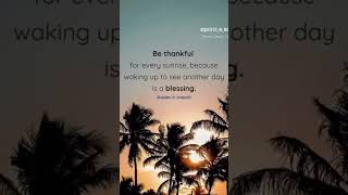 #quotesdaily #inspirationalquotes #motivation #selflovequotes #inspirationdaily #positivity