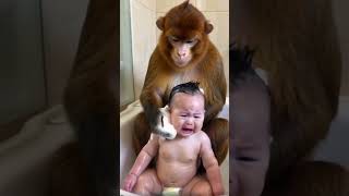 বানর টি বাঁচা  টিকে সুন্দর  ভাবে গোসল করে দিলো#shorts  #funny #viralvideo