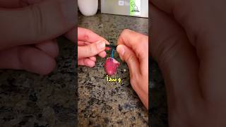 Chicken heart resuscitation experiment🐓🐔🐣♥️(don't believe everything you see)