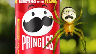 The Pringles Spider