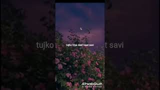 tere liya her.. ❤#hindihitsong #hindiloveringtone #lovestatus #lovesong#emotionalstatus ❤🥺