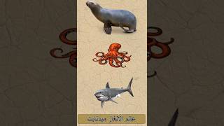 #الألغاز #لغز #اسئلة_دينية_مع_الحل #سوال_و_جواب #لغز_صعب #ألغاز_ذكاء #ألغاز #ألغاز_رياضية