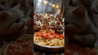 Mini Kittens Build a Giant Pasta! (The Cutest Construction Ever!) #MiniatureCats #funnyanimals