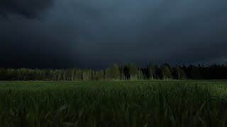 Entrance to the Old Forest | Waiting for Thunderstorm | Calm Before the Storm | 3 HOURS