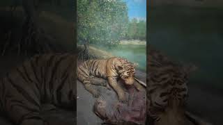 Indian museum . ticket price 75 only.
