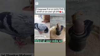 Shorts विडियो को लाईक Whatsapp कर के चैनल को सब्काईज कर देना हर हर महादेव Video Hindi Status Videos