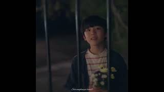 Cute love story | Korean drama love status #kdrama #asiandrama #itsokaytonotbeokay #koreandrama