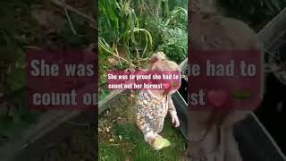 make growing food in your backyard normal! #foodgarden #gardening #growfoodnotlawns #kidsinthegarden