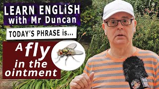 Is there a FLY in the OINTMENT? - Learn English phrases with Mr Duncan #englishaddictwithmrduncan