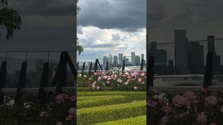 Garden @ 120 #uk #london #londoncity #uktourism