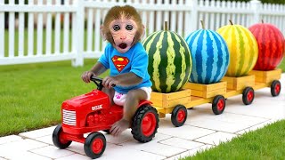 赤ちゃん猿ゴゴトラクターで出発！農場でどうぶつのお世話体験🌾🐥🐮 - GoGo Japanese