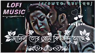 জানিনা তোর প্রেমে কি জাদু আছে 🥰 Janina Tor Preme Ki Jadu Ache || LOFI MIXED 🎧 || [ SLOWED & REVERB ]