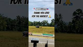 📍🇵🇭アブヨグ・レイテ米収穫シーズン #abuyogleyte #riceharvester #ricefarmer #bayay #ricefield