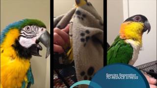 IF YOU LOVE YOUR PET