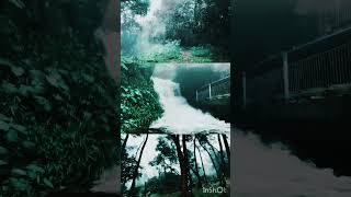 #lakkidi #wayanad #kerala #falls #naturephotography #travel #scenicviews  #biophilia #solace #love