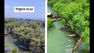 Amar valobasar moyna pakhi tiya.@Foysal.Alif550