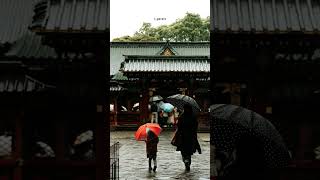 kabhi jo baadal barse/#kabhijobadalbarsesong #trending #reels #shorts #nature