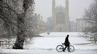 a winter playlist quiet beauty of everyday life ( dark academia playlist )