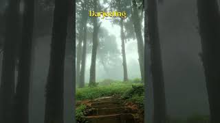 #dargeeling 😍🌺💝#queen of Hill's 🌍🍃#💝🌺😍💐🥰❣️💦beautiful nature🌿🍃
