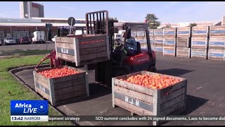 Climate volatility threatens South Africa’s agriculture