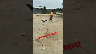 Konna (কন্যা) Full Video Song | Shajal | Nusrat Faria | Imran | Kona | Robiul Islam Jibon | Jinn 3