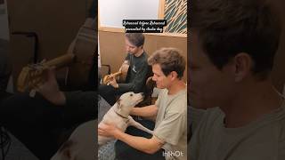 Studio dog pre-rehearsal #StudioDog #BandLife #ThisPlace #ReeyaBanerjee #IndieRock