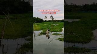 #nancysong #habibwahidnewsong #banglasong #music #musicaltheatre #foryou #fouryourpag