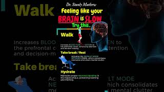 Slow BRAIN? Reset your brain with Neuroscience backed tips #brainfog #brainfogfix #sciencereels