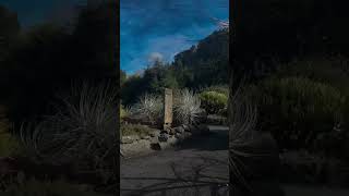 Chapter 2: breakthrough through the desert. #film #readings #poetry ry