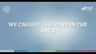 IT regatta - wind, sail and teamwork!