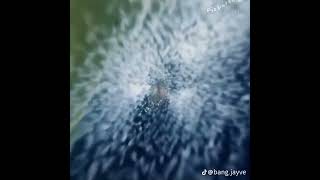 #viralvideo #shortsvideo #videoviral #anime #espace