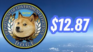 Department Of Government Efficiency (DOGE) 2025 Price Prediction