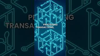 Avail: The Blockchain OS That’s Powering the Next Generation of Crypto