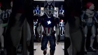 If Captain America Was a Wolf | #shorts #marvelfanart #captainameriwolf #superheroanimals