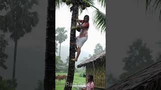 🌧️ Girl Climbing Coconut Tree in Rain | Indian Village Life | Monsoon Shorts