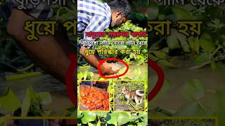 People's favorite food is washed and cleaned from the dirty water of the Buriganga River #amazing