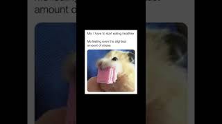 #health #memes #english #foryou #funny #jokes