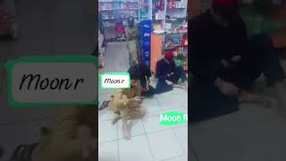 #shopkeeperlife now a days