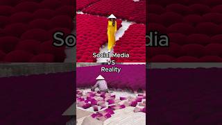 Social Media VS. Shocking Reality  #travel #socialmedia