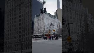New york city #nyc #travel #manhattanskyline #littleitaly #newyorkcity #centralpark #livingnewyork