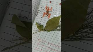 Subho Poila Baisakh 1432 #noboborsho #subhonoboborsho #poilabaisakh #poilaboishak #bengalinewyear