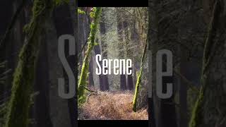 Seeking for moments in nature #serenescenes #nature #serenelandscapes