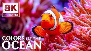 Underwater Paradise 8K (VIDEO ULTRA HD) 🐳 Colorful Reef Fish & Marine Life -  Anxiety Relief