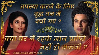 Buddha Teachings | 15 | Why Buddha left his home and went in Forest? | Buddha Serial