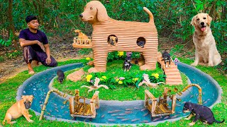Building a Dog House for Rescue Puppies – Heartwarming Story!
