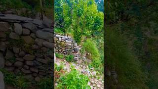 Hidden Village Beauty from the Mountains 🌄 | Peaceful Nature Views  #nature #shorts