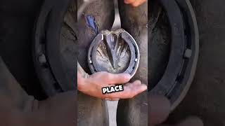 The owner is so generous 💖