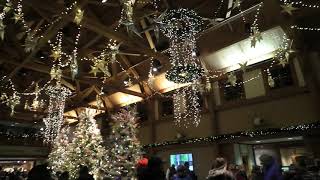 Holiday Lights at Minnesota Landscape Arboretum.