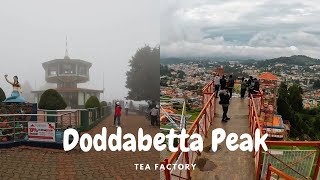 Doddabetta | Highest peak of Nilgiris
